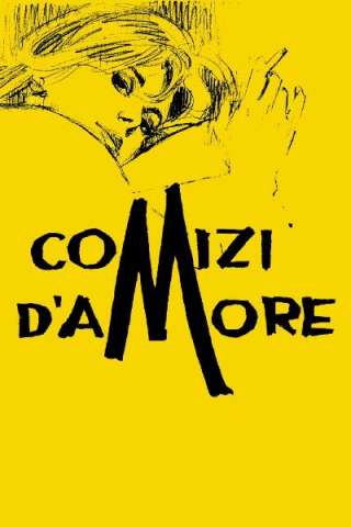 Comizi d'amore [HD] (1965)