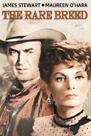 Rancho bravo [HD] (1966)