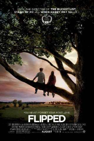 Il primo amore non si scorda mai [HD] (2010)