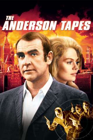 Rapina record a New York [HD] (1971)