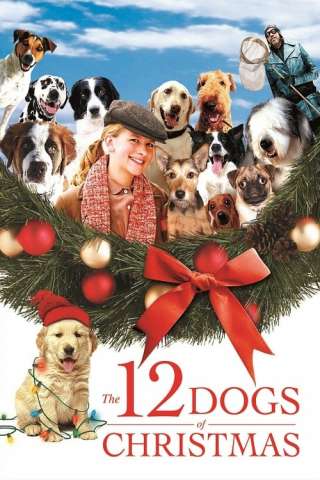 I 12 cani di Natale [DVDrip] (2005)