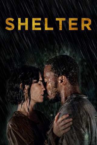 Shelter - senza dimora [HD] (2014)