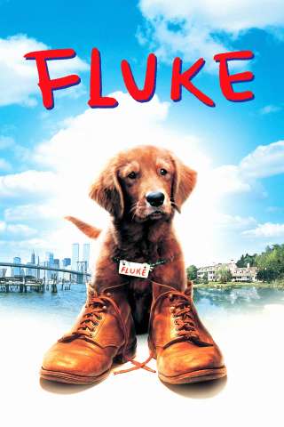 Fluke [HD] (1995)