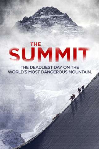 The Summit [DVDrip] (2013)