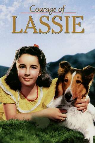 Il coraggio di Lassie [DVDrip] (1946)
