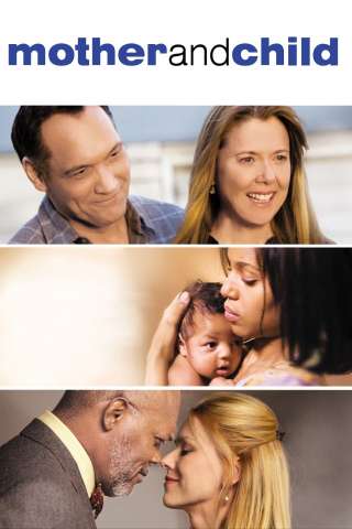 Mother and Child [DVDrip] (2009)