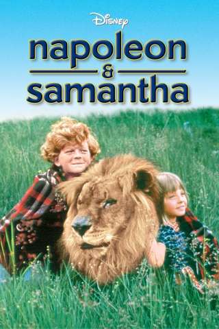 Due ragazzi e... un leone [HD] (1972)