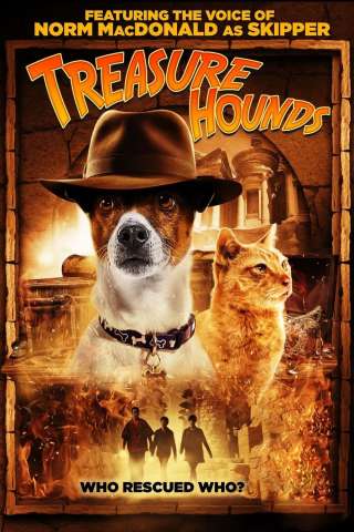 Treasure Hounds [DVDrip] (2017)