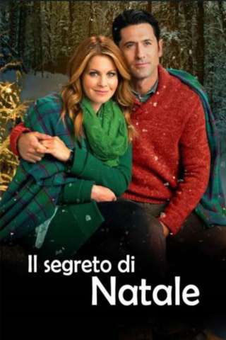 Il segreto di Natale [DVDrip] (2014)