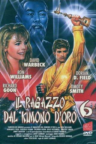 Il ragazzo dal kimono d'oro 6 [HD] (1993)