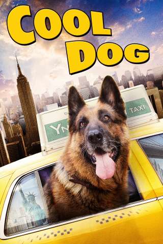 Cool Dog - Rin Tin Tin a New York [HD] (2011)