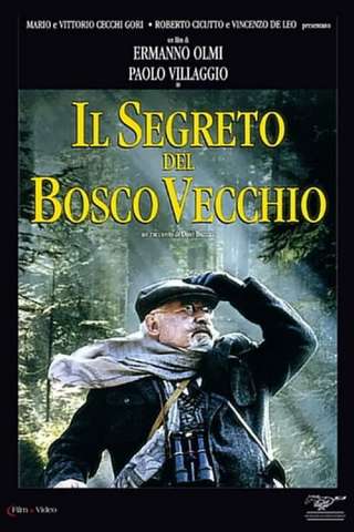 Il segreto del bosco vecchio [HD] (1993)