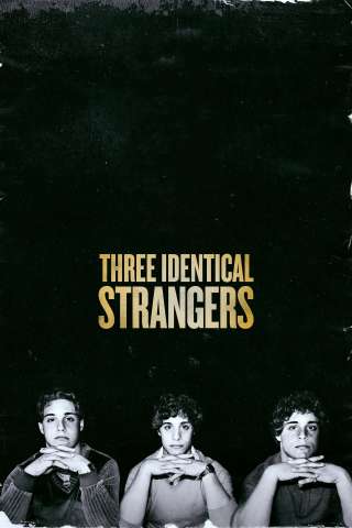 Three Identical Strangers [HD] (2018)