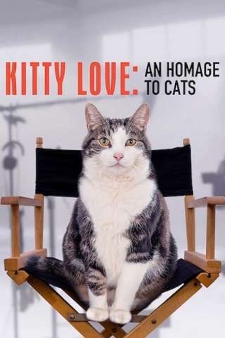 Kitty Love: Evviva i gatti! [HD] (2021)