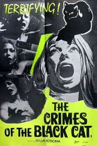 Sette scialli di seta gialla [HD] (1972)
