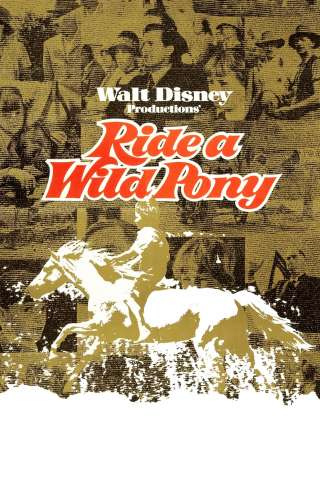 A cavallo di un pony selvaggio [HD] (1975)