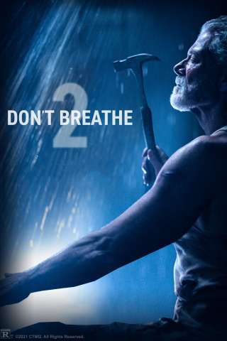 L'uomo nel buio - Man in the Dark [HD] (2021)