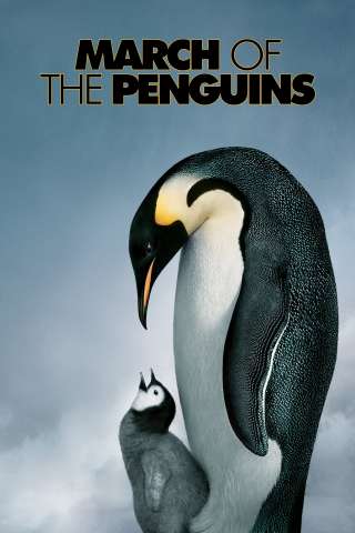 La marcia dei pinguini [HD] (2005)