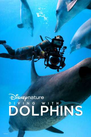 Il mondo nascosto dei delfini [HD] (2020)