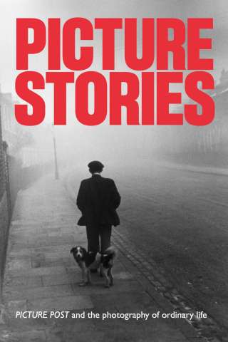 Picture Stories [HD] (2021)