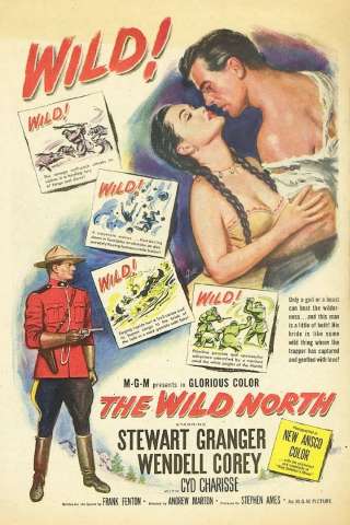 Inferno bianco [HD] (1952)