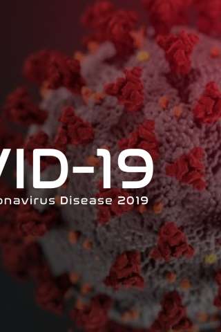 Covid-19 [HD] (2021)