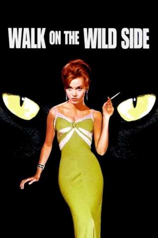 Anime sporche [HD] (1962)