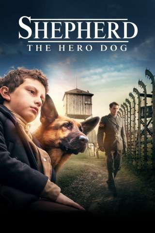 Zack, cane eroe [HD] (2020)