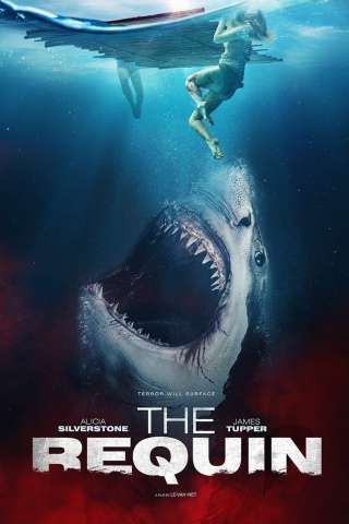 Sharks - Incubo dagli abissi [HD] (2022)