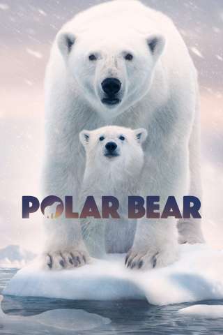 Polar Bear [HD] (2022)