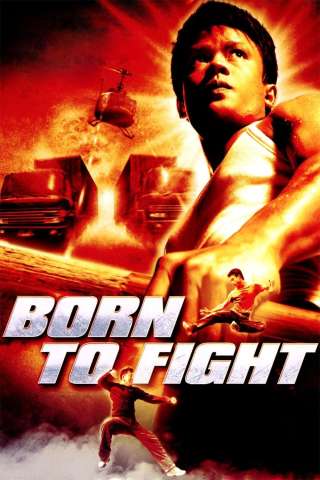 Born to fight - Nati per combattere [HD] (2004)