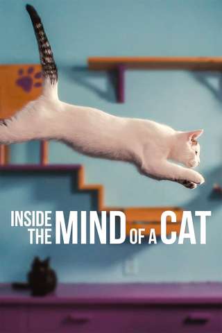 Nella mente di un gatto [HD] (2022)