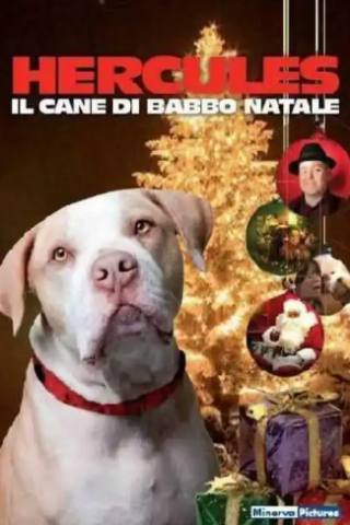 Hercules - Il Cane di Babbo Natale [SD] (2011)