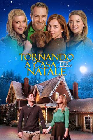 Tornando a casa per Natale [HD] (2014)