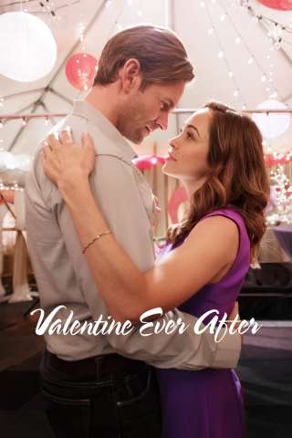Un amore inaspettato [HD] (2016)