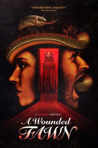 A Wounded Fawn [HD] (2022)