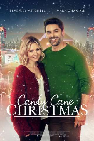 Un Natale zuccheroso [HD] (2020)