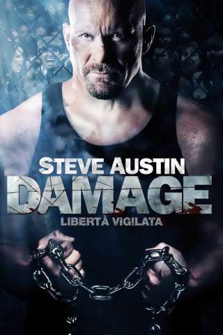 Damage - Libertà vigilata [SD] (2009)