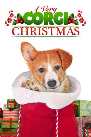 Un Natale da Corgi [HD] (2019)
