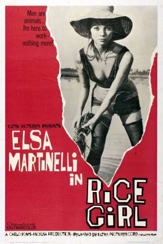 La risaia [HD] (1956)
