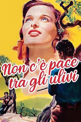 Non c'è pace tra gli ulivi [HD] (1950)