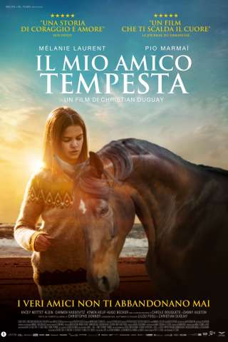 Il mio amico Tempesta [HD] (2022)