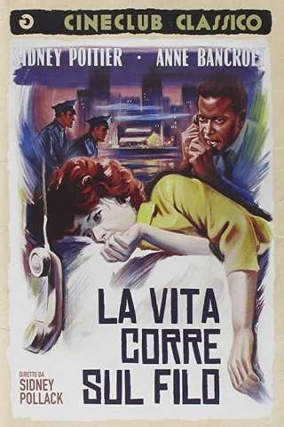La vita corre sul filo [HD] (1965)
