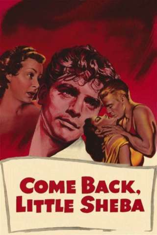 Torna piccola Sheba [HD] (1952)