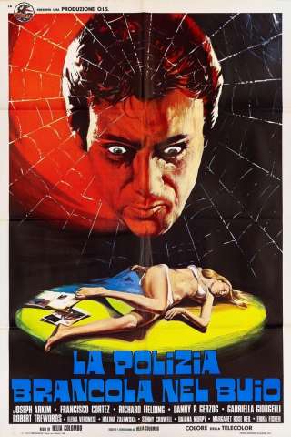La polizia brancola nel buio [HD] (1975)