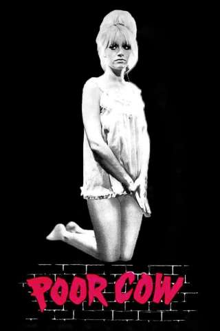 Poor Cow [HD] (1967)