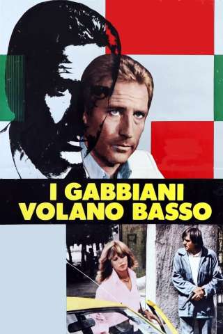 I gabbiani volano basso [HD] (1978)