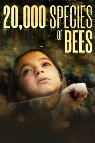 20.000 specie di api [HD] (2023)
