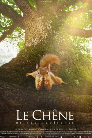 La quercia e i suoi abitanti [HD] (2022)