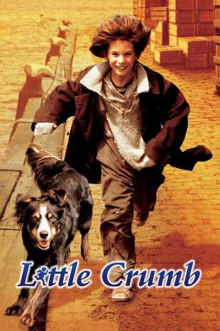 Il sogno di Crumb [HD] (1999)